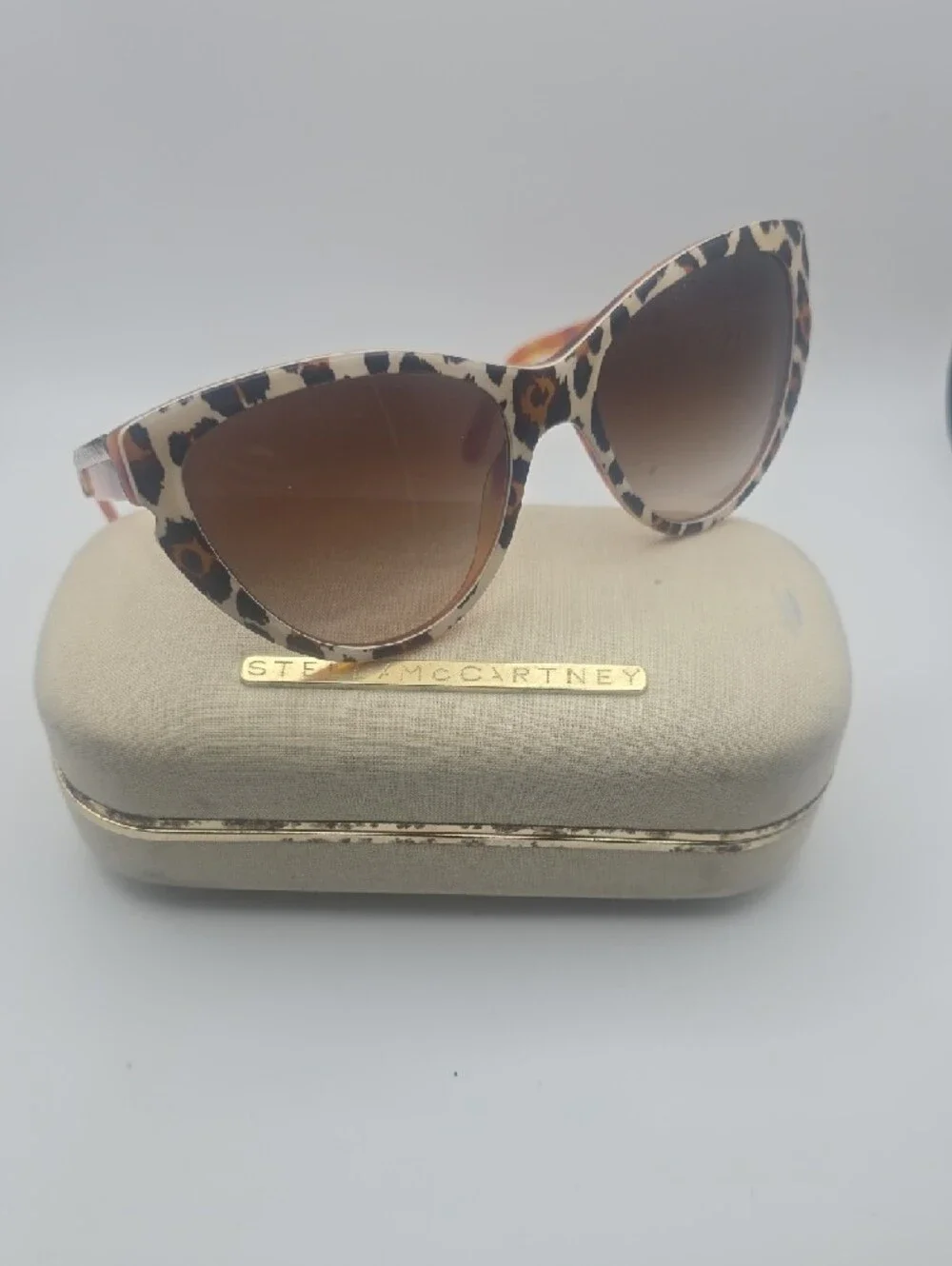 Stella McCartney stylish cat